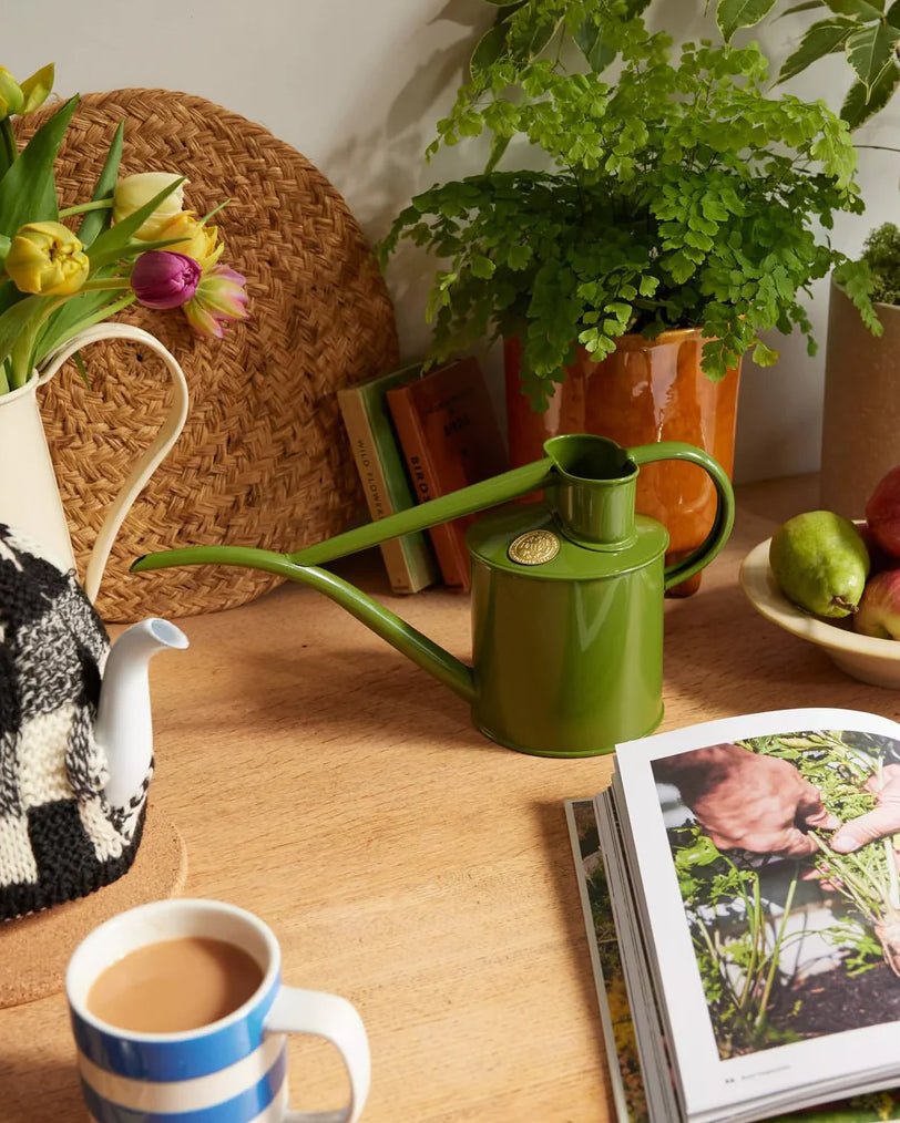 Indoor Pot Waterer (2 Pint) - Fern Green - BRIT LOCKER