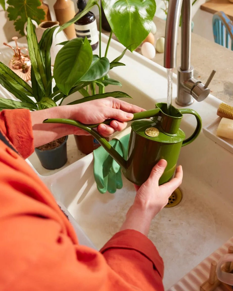 Indoor Pot Waterer (2 Pint) - Fern Green - BRIT LOCKER
