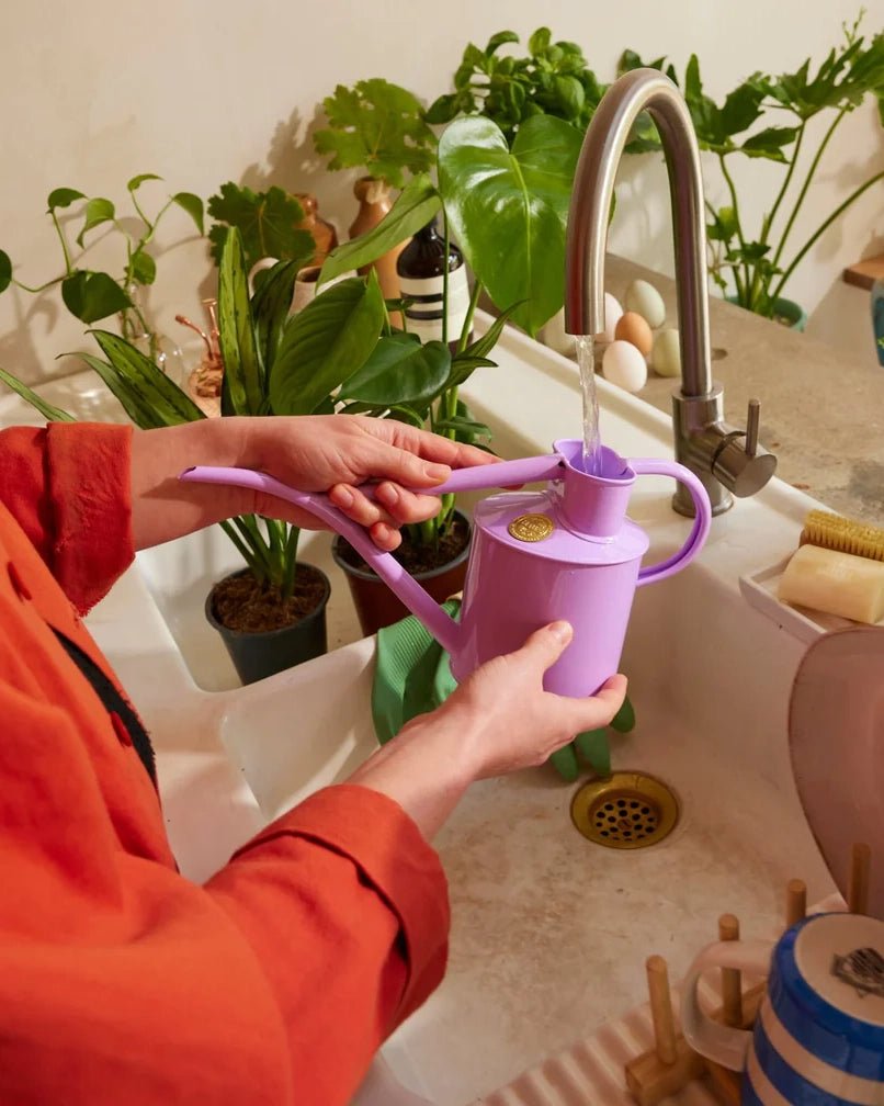 Indoor Pot Waterer (2 Pint) - Misty Lilac - BRIT LOCKER