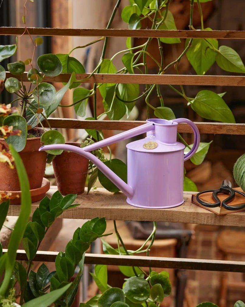 Indoor Pot Waterer (2 Pint) - Misty Lilac - BRIT LOCKER