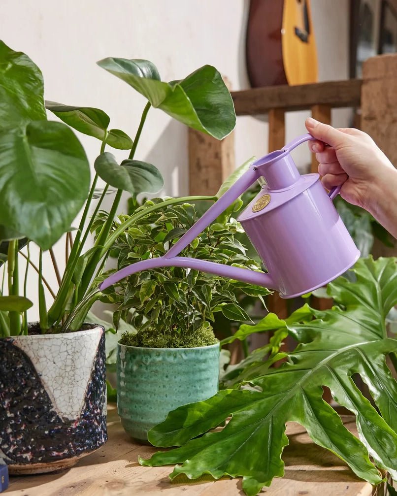Indoor Pot Waterer (2 Pint) - Misty Lilac - BRIT LOCKER