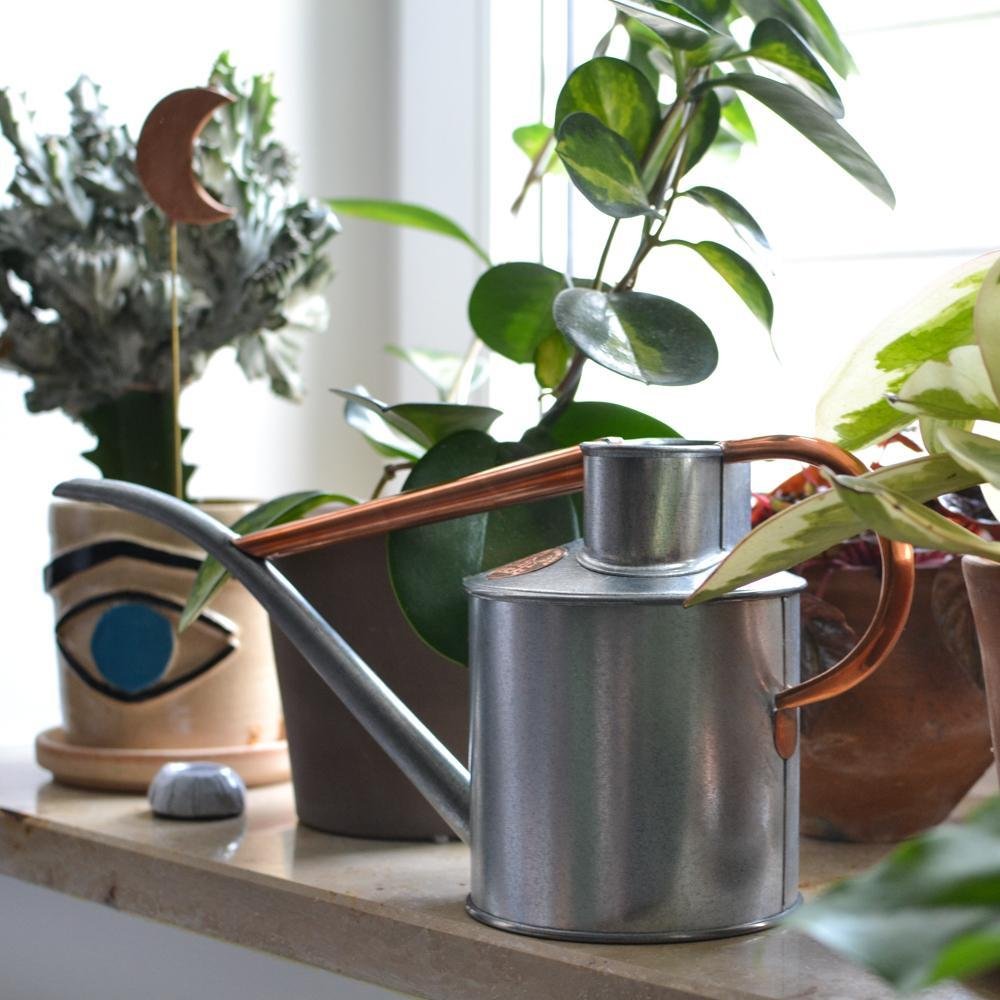 Indoor Pot Waterer (2 Pint) - Copper Edition - British Made - BRIT LOCKER