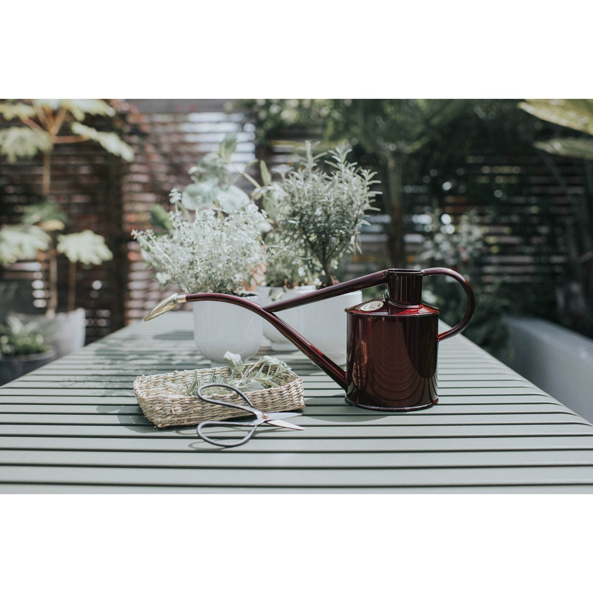 Classic Indoor Watering Can - Claret - BRIT LOCKER