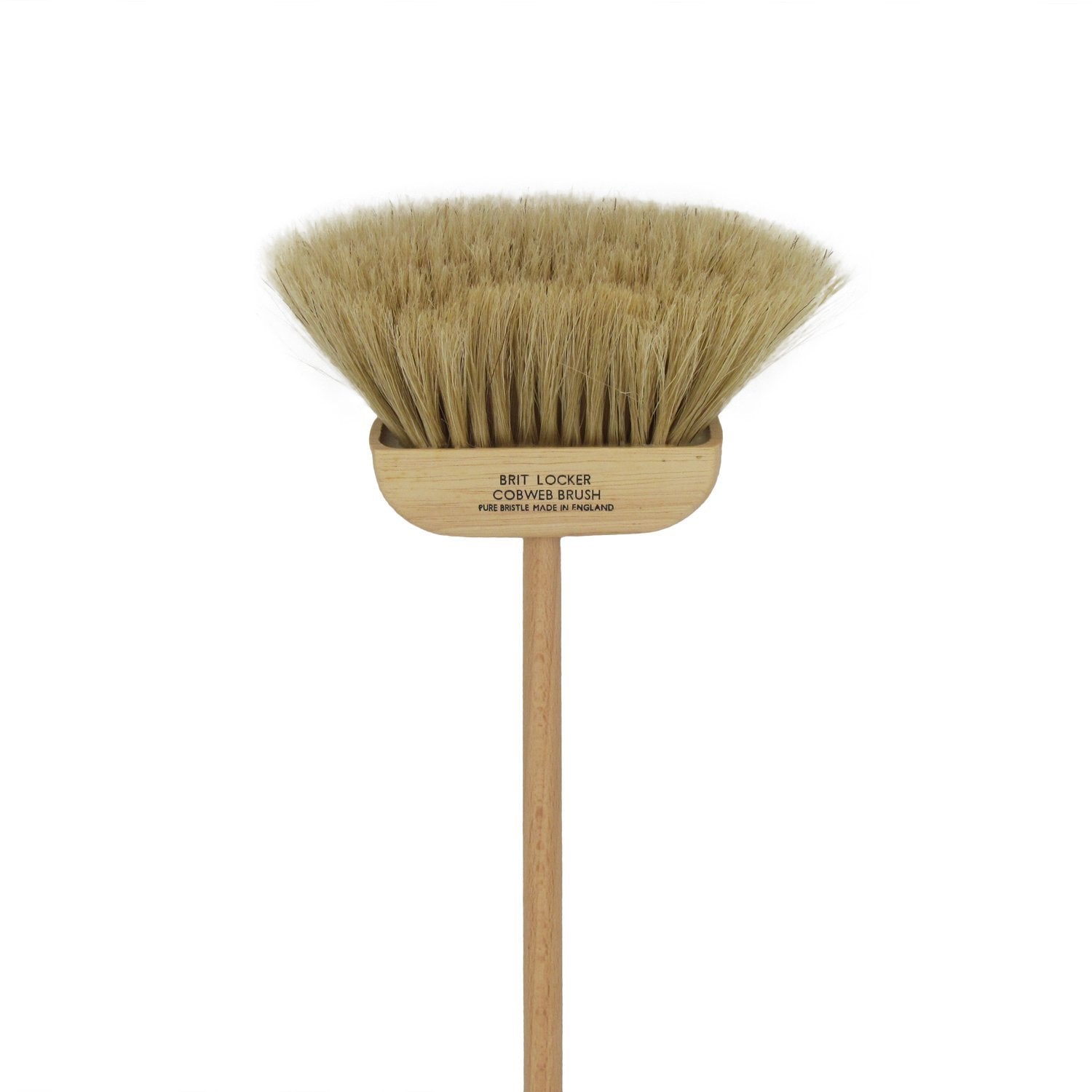 Cobweb brush shop